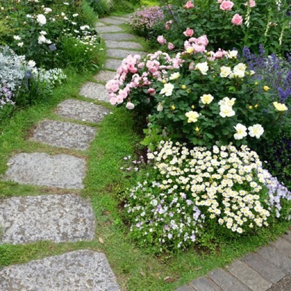 Meet your Posher, Suzi - Picture 2 of 2